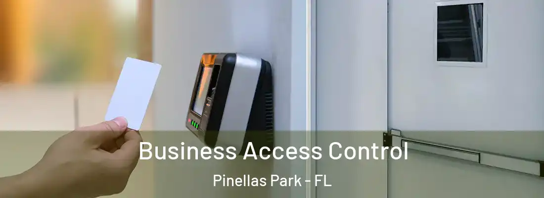 Business Access Control Pinellas Park - FL