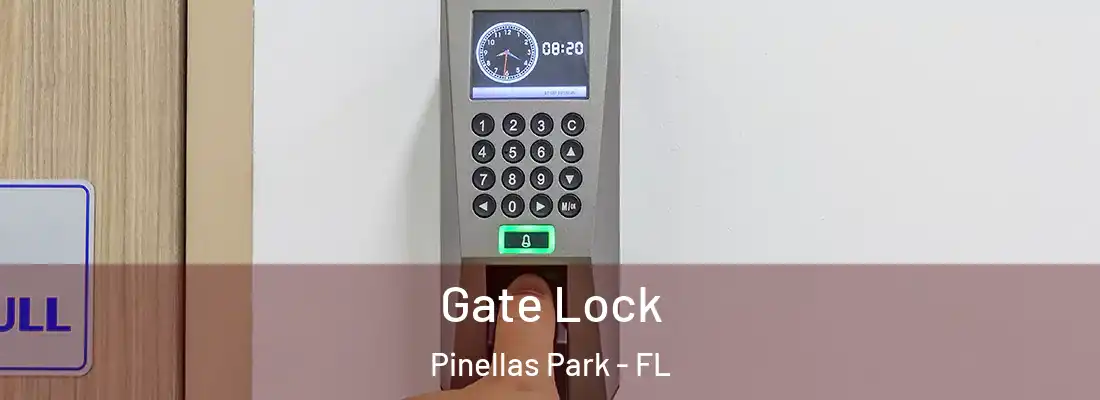 Gate Lock Pinellas Park - FL