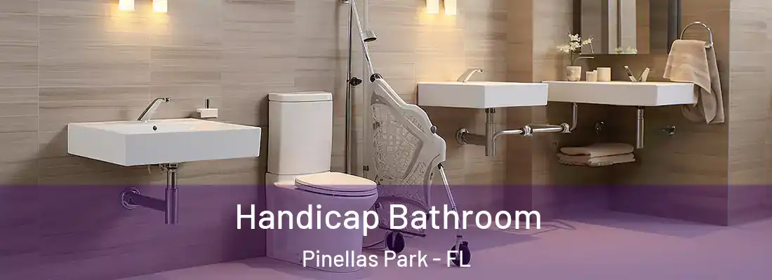 Handicap Bathroom Pinellas Park - FL