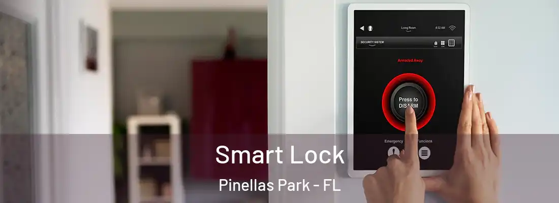Smart Lock Pinellas Park - FL