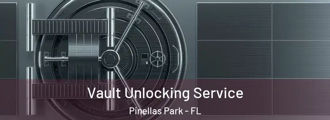 Vault Unlocking Service Pinellas Park - FL