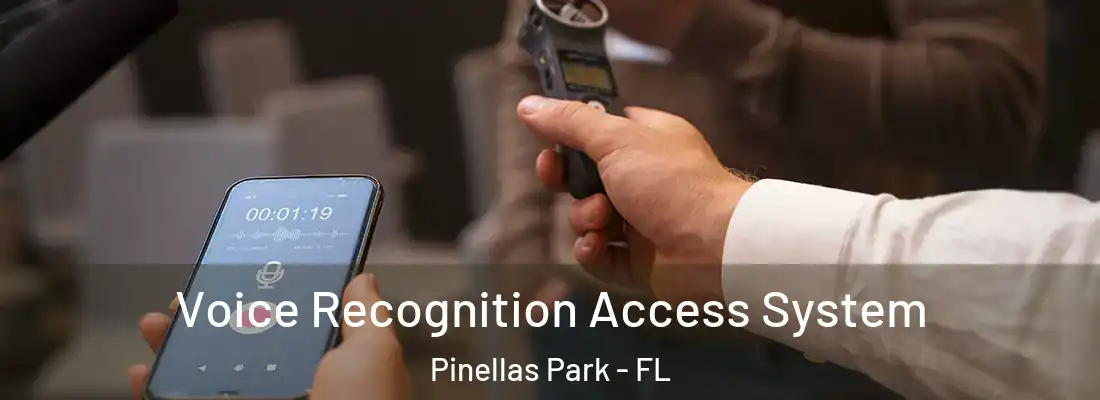 Voice Recognition Access System Pinellas Park - FL